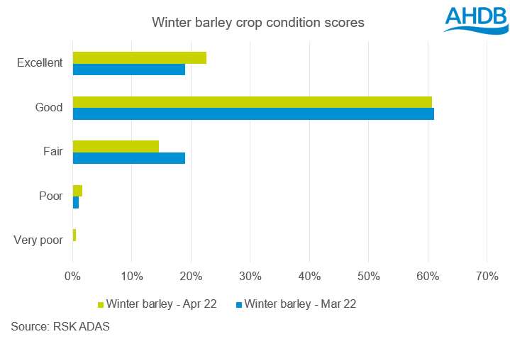Winter barley crop conditions